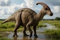 Parasaurolophus